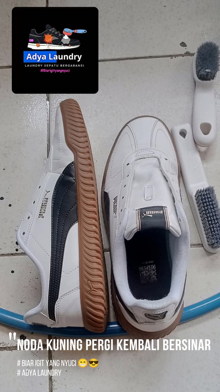 BUY 1 GET 1 ONLINE